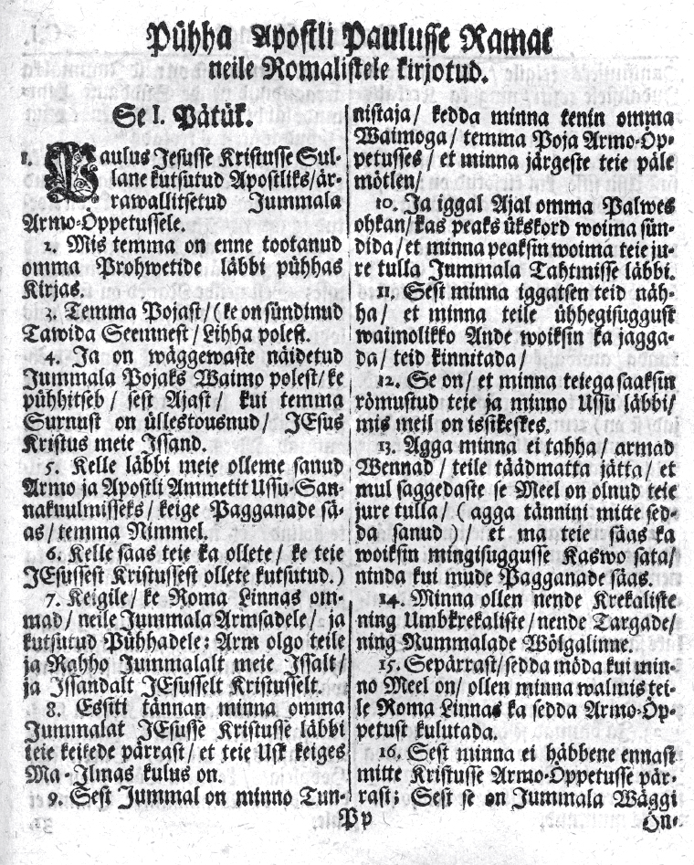 lehekülje pilt