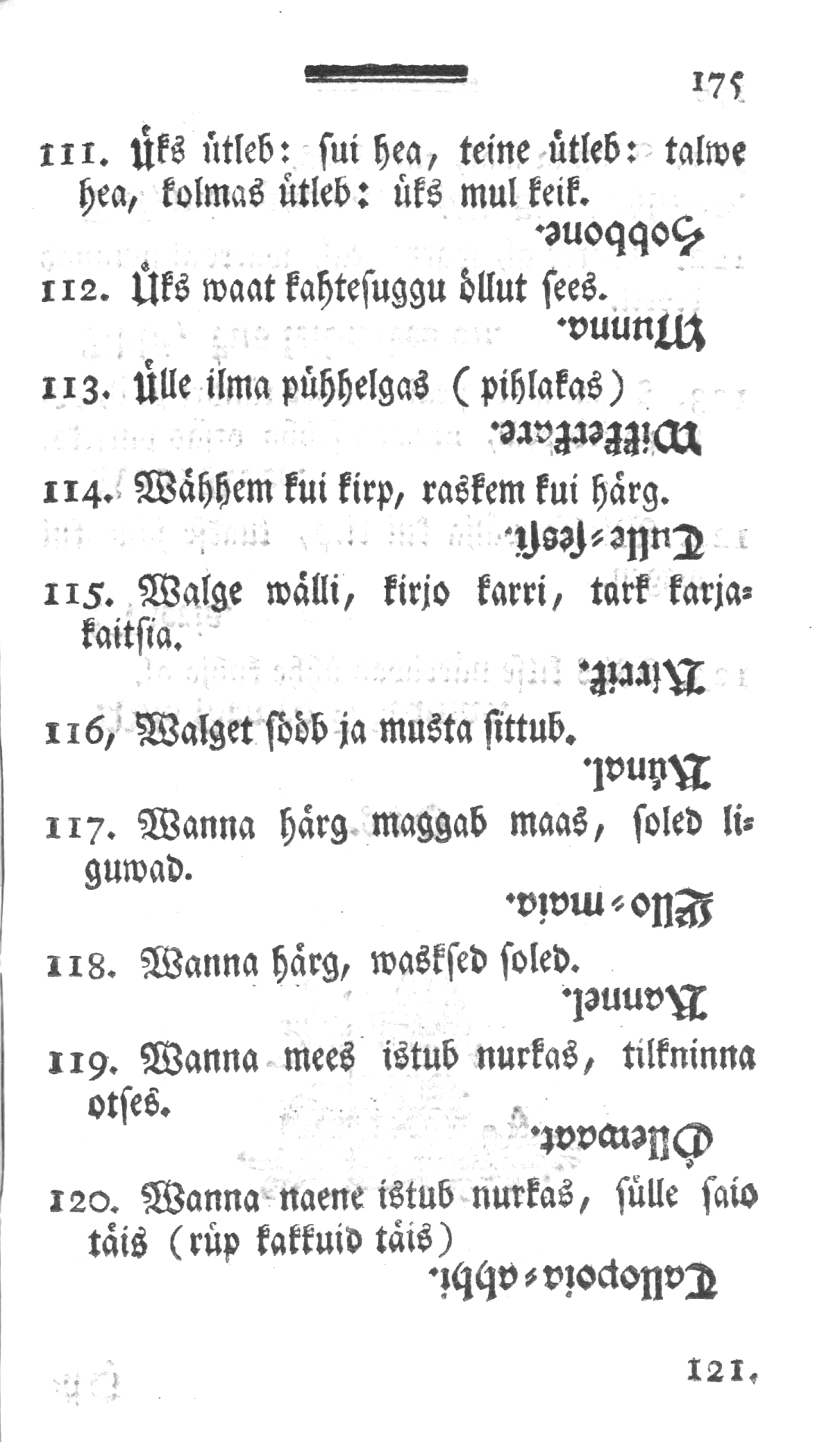 lehekülje pilt