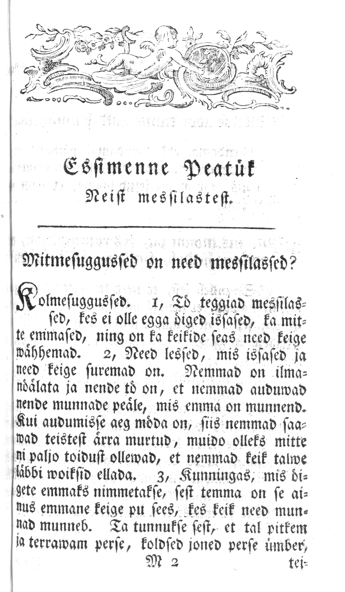 lehekülje pilt
